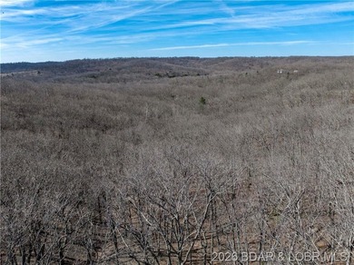 14.9 wooded Acres on paved road. Private and peaceful acreage - photo 17