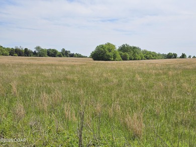 (private lake, pond, creek) Acreage For Sale in Seneca Missouri