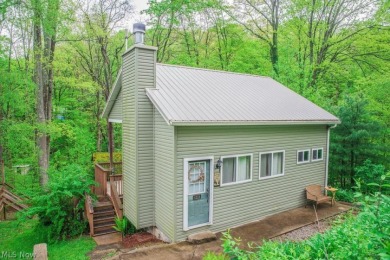 Wooded Lake Retreat - Lake Home For Sale in Carrollton, Ohio