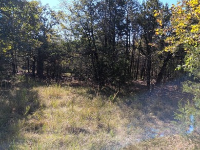 Sardis Lake Acreage For Sale in Yanush Oklahoma