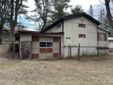 Lake Home For Sale in Hawley, Pennsylvania