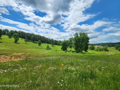 Lake Acreage Sale Pending in Loudon, Tennessee