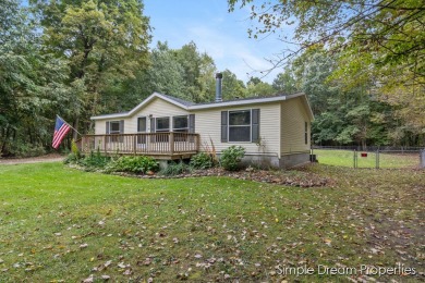 Lake Home For Sale in Stanton, Michigan