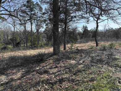 Lake Lot For Sale in Big Sandy, Texas