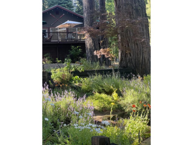 Lake Home For Sale in Hamilton Branch, California