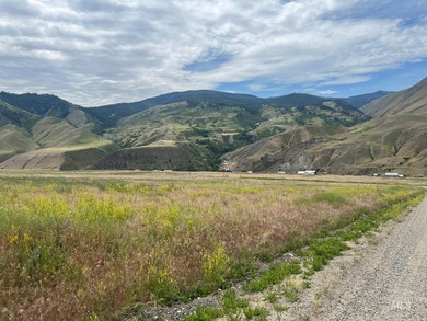 Salmon River - Idaho County Acreage For Sale in Lucile Idaho