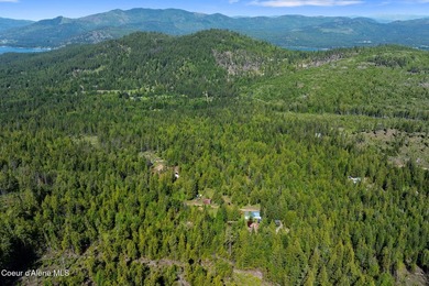 Tucked into the hillside just 26 minutes from Sandpoint, this - photo 36