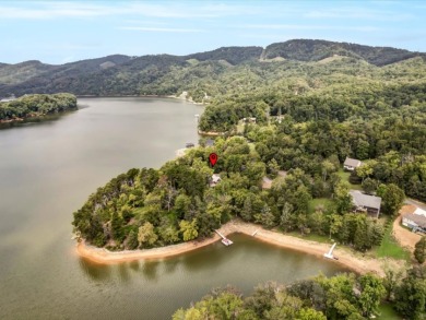 Cherokee Lake Front with Private dock - photo 3