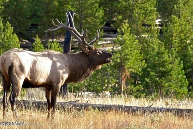 This beautifully updated 3 bedroom 2 bath cabin offers - photo 44