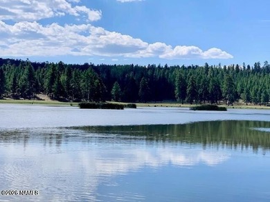 This beautifully updated 3 bedroom 2 bath cabin offers - photo 46
