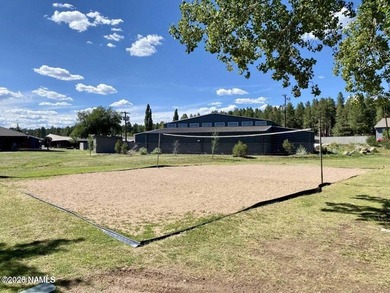 This beautifully updated 3 bedroom 2 bath cabin offers - photo 47