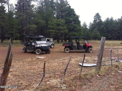 This beautifully updated 3 bedroom 2 bath cabin offers - photo 49