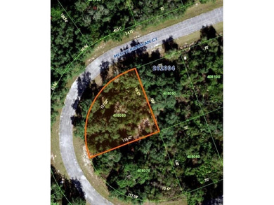 Lake Marion - Polk County Lot For Sale in Poinciana Florida