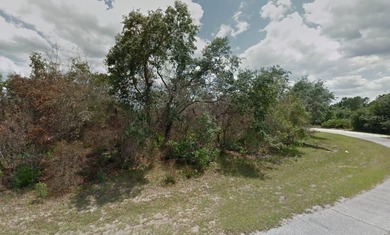 This is the one!!! Corner Lot - oversized. Check out this NICE - photo 2