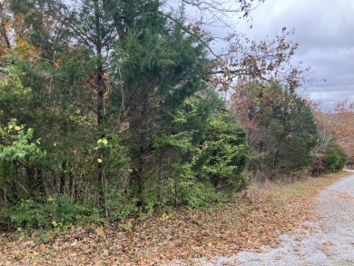 Lot For Sale - photo 3