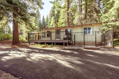 Lake Home For Sale in Hamilton Branch, California