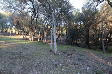 Clear Lake Lot For Sale in Clearlake California