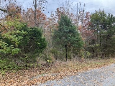 Lot For Sale - photo 5