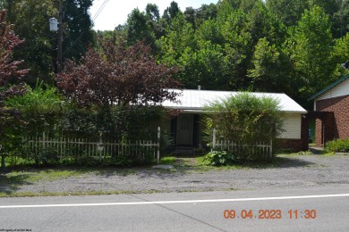 Burnsville Lake Home For Sale in Napier West Virginia