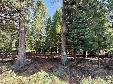 Lake Lot For Sale in Lake Almanor, California