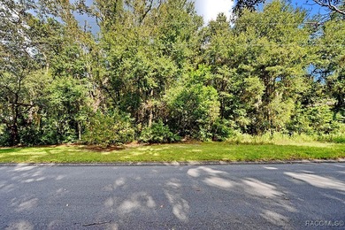 Lake Spivey Lot For Sale in Inverness Florida