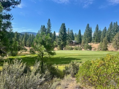 (private lake, pond, creek) Lot For Sale in Portola California