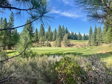 (private lake, pond, creek) Lot For Sale in Portola California