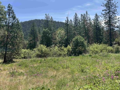 Lake Acreage For Sale in Seiad Valley, California