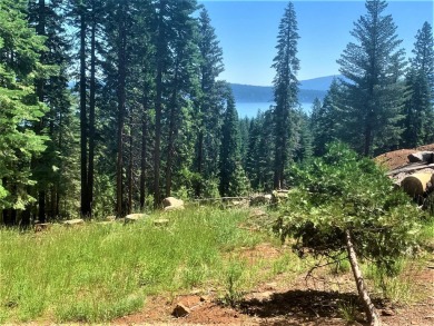 Lake Lot For Sale in Chester, California