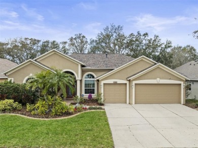 Lake Home Sale Pending in Brandon, Florida