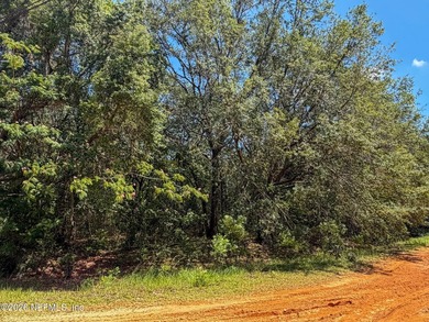 Build your dream home on this 1.17-acre wooded corner lot in - photo 5