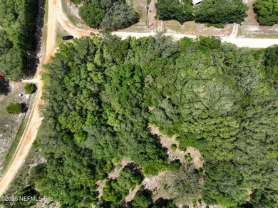 Build your dream home on this 1.17-acre wooded corner lot in - photo 9