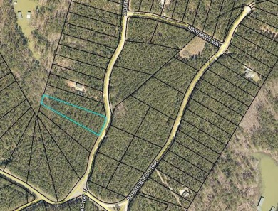 Lake Acreage For Sale in Lincolnton, Georgia