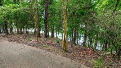 One of Pickwick Lake's last remaining premier waterfront parcels - photo 11