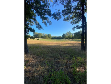 Quiet country living! This beautiful 1.20 acre lot is ready for - Lake Lot For Sale in Pittsburg, Texas