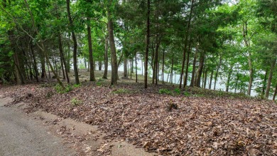 One of Pickwick Lake's last remaining premier waterfront parcels - photo 12