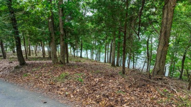One of Pickwick Lake's last remaining premier waterfront parcels - photo 13