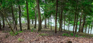 One of Pickwick Lake's last remaining premier waterfront parcels - photo 14