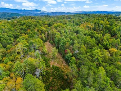 Riverfront Mountain Homesite in the highly desirable gated - photo 15