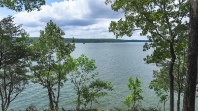 One of Pickwick Lake's last remaining premier waterfront parcels - photo 15