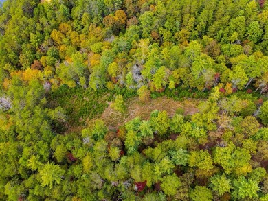 Riverfront Mountain Homesite in the highly desirable gated - photo 17
