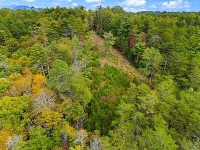 Riverfront Mountain Homesite in the highly desirable gated - photo 18