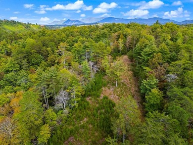 Riverfront Mountain Homesite in the highly desirable gated - photo 19