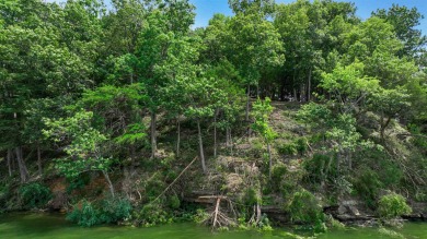 One of Pickwick Lake's last remaining premier waterfront parcels - photo 19