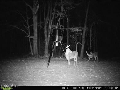 Wait, what?! Yep... this is a rare opportunity to own 102 acres - photo 11