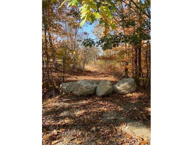 40 pristine wooded acres located in Parsonsfield on RT 160 with - photo 11
