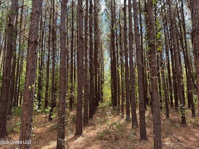 Wait, what?! Yep... this is a rare opportunity to own 102 acres - photo 12