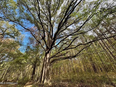 Wait, what?! Yep... this is a rare opportunity to own 102 acres - photo 14