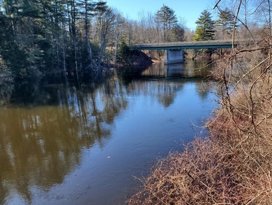 40 pristine wooded acres located in Parsonsfield on RT 160 with - photo 14