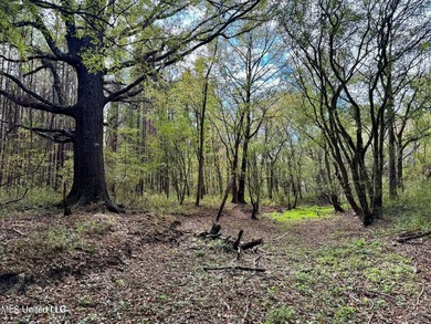 Wait, what?! Yep... this is a rare opportunity to own 102 acres - photo 16